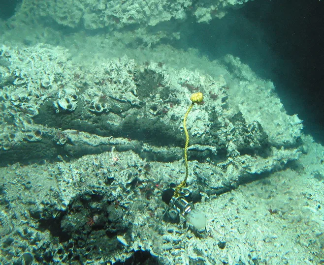 Research apparatus anchored on a colony of Pompeii worms