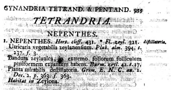Nepenthes from Carolus Linnaeus's Species Plantarum of 1753