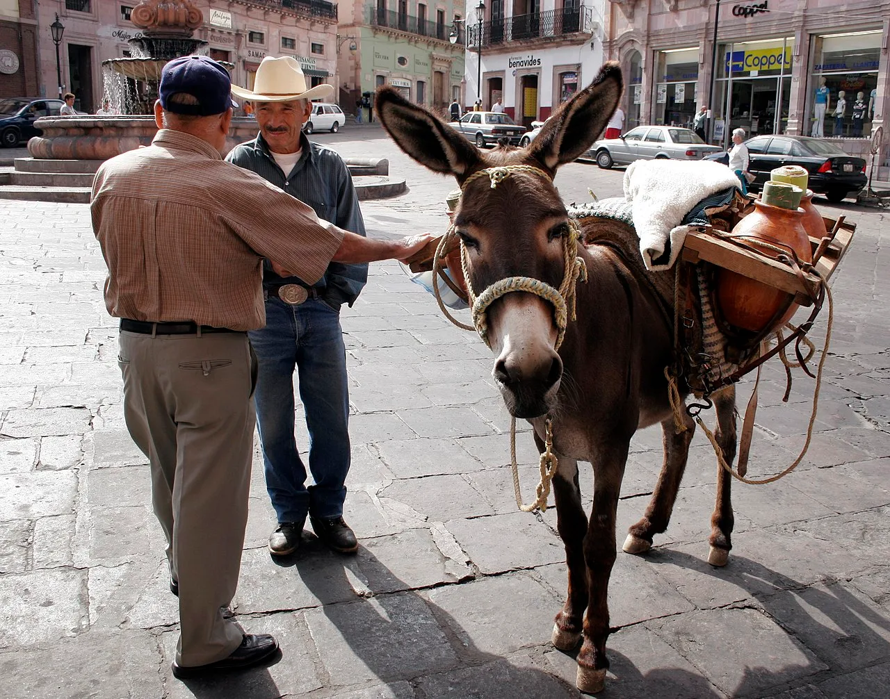 Pulque donkey and vendor in Zacatecas City (2006)