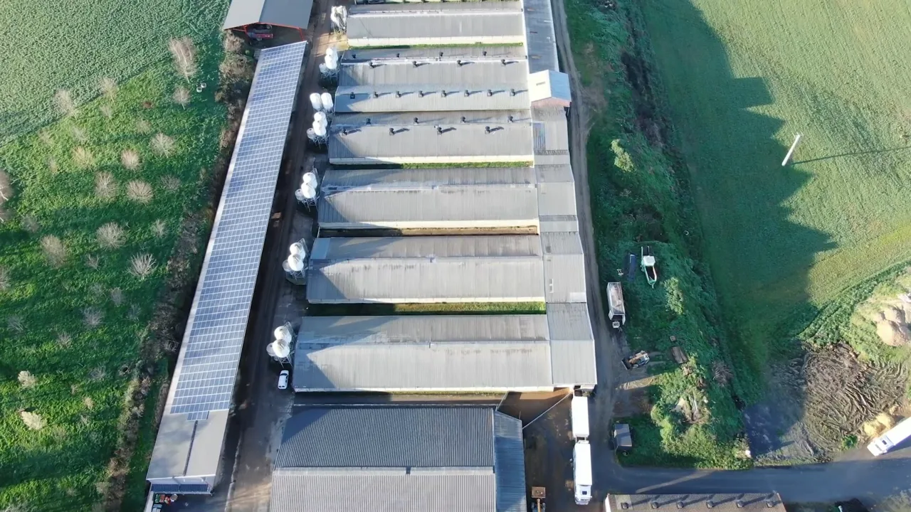 A Roquefort farm in Southern France