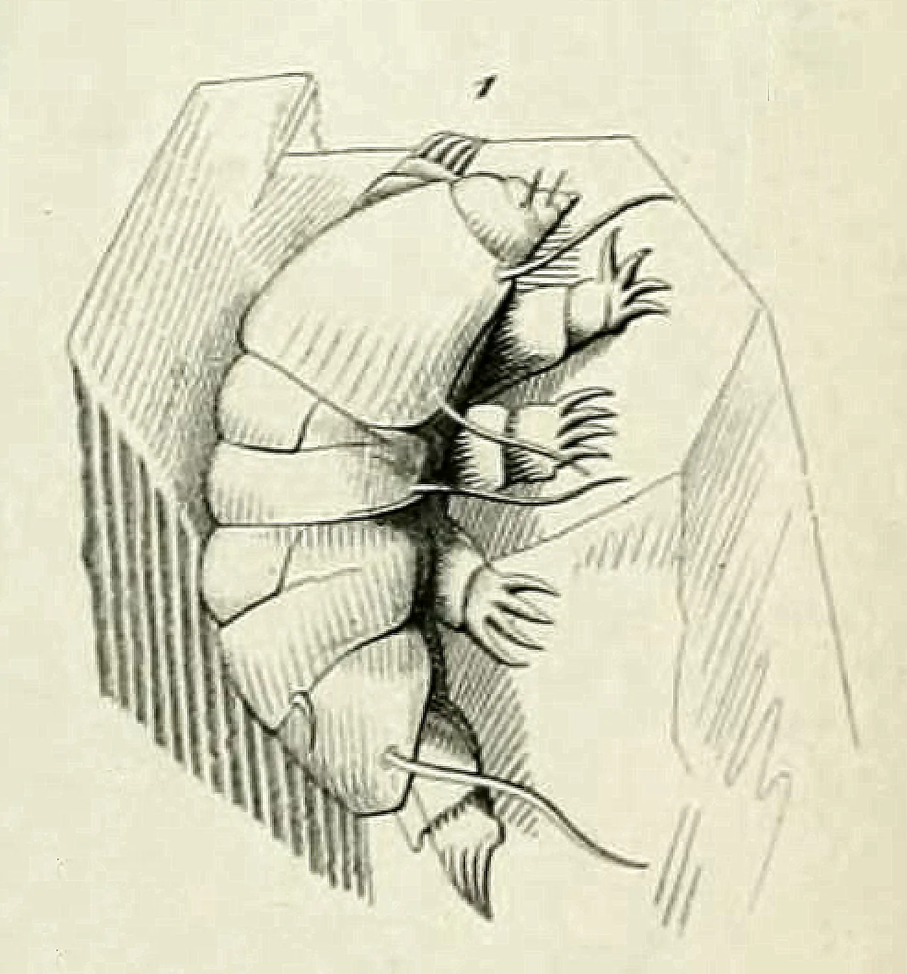 Drawing of Echiniscus testudo on a grain of sand by L.M.F. Doyère, 1840