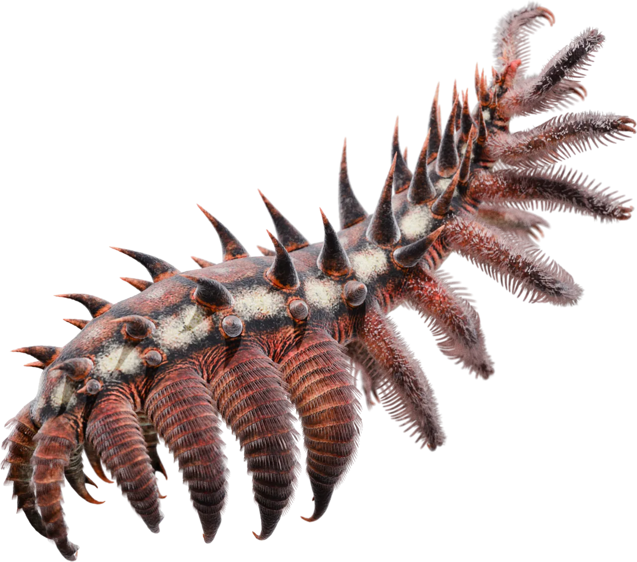 The lobopod-like luolishaniids from the Cambrian and Ordovician are possibly the closest fossil relatives of tardigrades. Entothyreos reconstruction shown.[57]